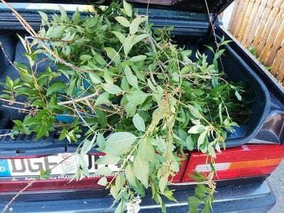 Gebraucht Volvo 740 155 PS (114 kW) 1991 Rot Limousine