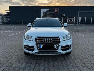 Gebraucht Audi SQ5 313 PS (230 kW) 2014 Weiß SUV