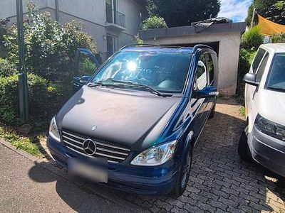 Mercedes Viano