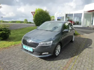 Gebraucht Skoda Fabia Soleil 95 PS (69 kW) 2019 Grau Kleinwagen