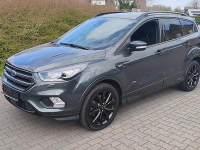 Gebraucht Ford Kuga ST-Line 150 PS (110 kW) 2019 Grün SUV