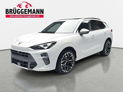 Weiß Neu 2025 Cupra Terramar VZ SUV | 48.490 € (Etwas zu teuer)