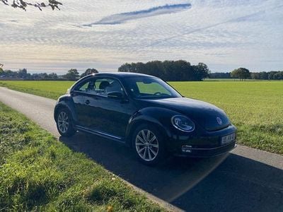 VW Beetle