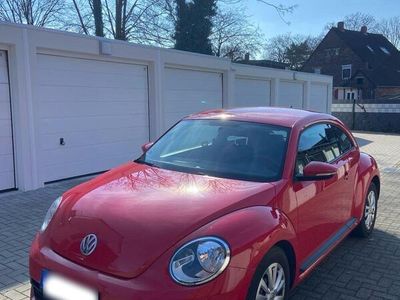 VW Beetle