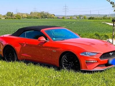 Brugt Ford Mustang GT 450 HK (330 kW) 2018 Rød Cabriolet
