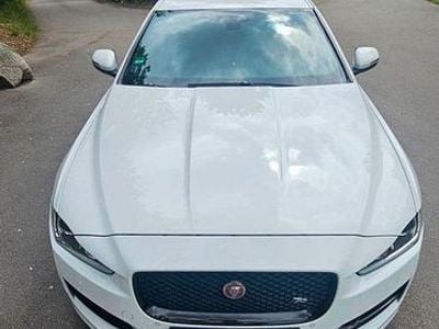 Occasion Jaguar XE R-Sport 179 ch (131 kW) 2017 Blanc Berline