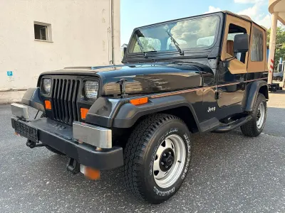 Gebraucht Jeep Wrangler 180 PS (132 kW) 1993 Schwarz SUV