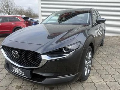 Gebraucht Mazda CX-30 Homura-Line 150 PS (110 kW) 2024 Grau SUV