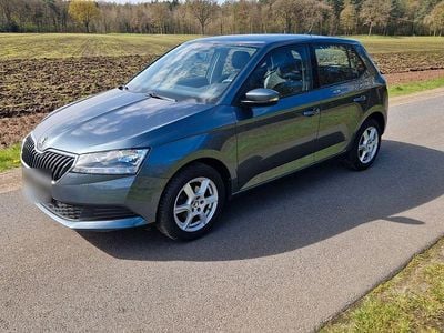 Gebraucht Skoda Fabia 60 PS (44 kW) 2019 Grau Kleinwagen