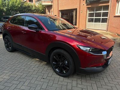 Neu Mazda CX-30 Homura-Line 140 PS (102 kW) 2025 Rot SUV