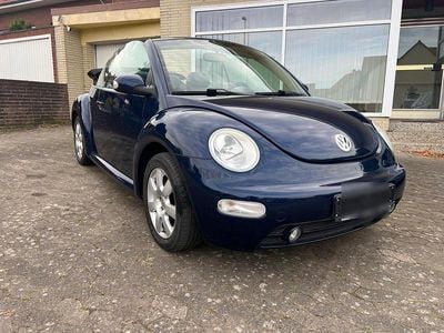VW Beetle