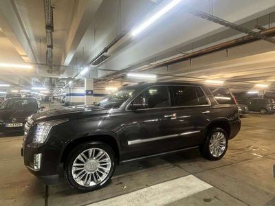 gebraucht Cadillac Escalade Escalade6.2 V8 AWD AT Platinum