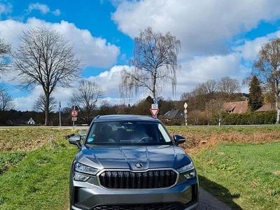 Gebraucht Skoda Kodiaq Selection 150 PS (110 kW) 2024 Grau SUV