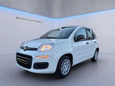 Neu Fiat Panda Icon 69 PS (50 kW) 2025 Weiß Limousine