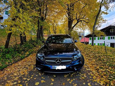 Blau Gebraucht 2017 Mercedes E220 AMG Kombi | 20.900 € (Fairer Preis)