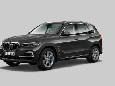 Gebraucht BMW X5 Performance 250 PS (183 kW) 2020 Andere SUV