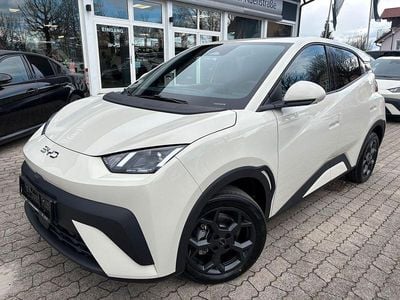 Neu BYD Dolphin Surf Comfort 114 kW (156 PS) 2026 Beige Kleinwagen