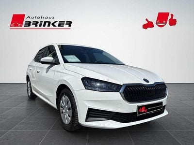 Usata Skoda Fabia Active 65 CV (47 kW) 2022 Bianco Utilitaria