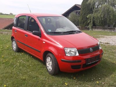 gebraucht Fiat Panda 169 Bj 3/ 2003 40 kw TÜV neu