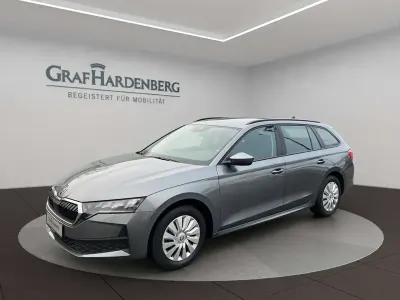 Gebraucht Skoda Octavia Essence 116 PS (85 kW) 2025 Graphitegrau metallic Kombi