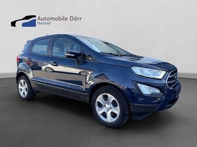 Usata Ford Ecosport 125 CV (91 kW) 2019 Blu SUV