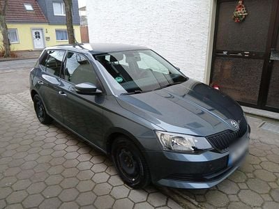 Grau Gebraucht 2017 Skoda Fabia Cool Edition Kleinwagen | 7.499 € (Guter Preis)