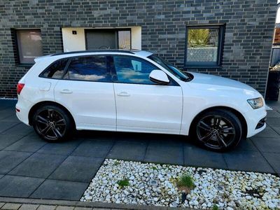 gebraucht Audi SQ5 3.0 TDI Quattro Blackline NAVI Xenon PANO AHK 21 Zoll