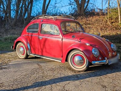 Gebraucht VW Käfer 51 PS (37 kW) 1963 Rot Kleinwagen