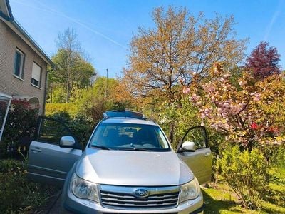 Usata Subaru Forester Comfort 150 CV (110 kW) 2009 Argento SUV