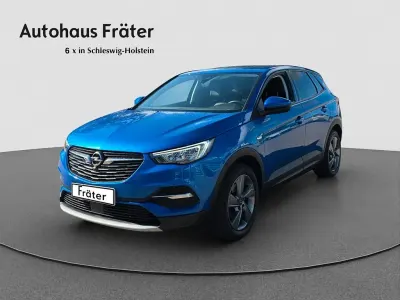 Gebraucht Opel Grandland X 131 PS (96 kW) 2021 Blau SUV