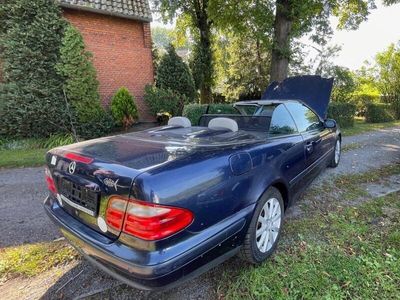 Mercedes CLK230