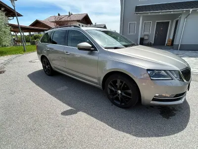 Gebraucht Skoda Octavia Style 150 PS (110 kW) 2019 Beige Kombi