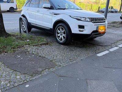 Gebraucht Land Rover Range Rover evoque 150 PS (110 kW) 2013 Weiß SUV