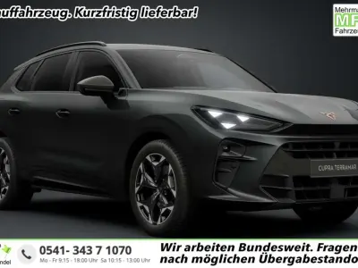 Gebraucht Cupra Terramar