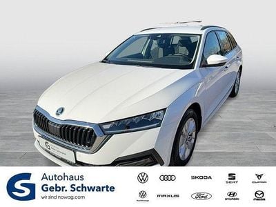 Gebraucht Skoda Octavia Ambition 116 PS (85 kW) 2023 Weiß Kombi