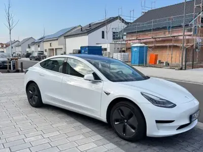 Usata Tesla Model 3 Standard Range Plus 239 kW (325 CV) 2019 Bianco Berlina