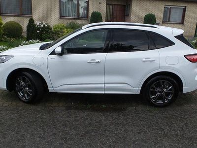 Gebraucht Ford Kuga ST-Line X 225 PS (165 kW) 2022 Weiß SUV