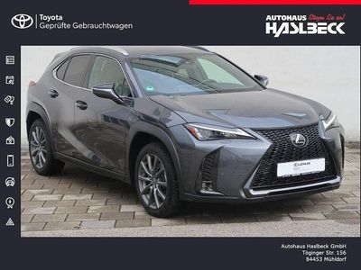 Gebraucht Lexus UX 250h Sport Design Packet 184 PS (135 kW) 2023 Grau SUV