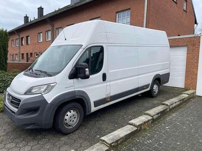 Gebraucht Fiat Ducato 131 PS (96 kW) 2017 Weiß Van