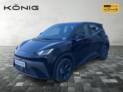 Nouvelle BYD Dolphin Surf Boost 43 kW (59 ch) 2025 Noir Citadine