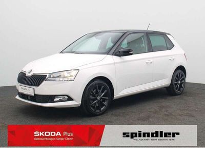 gebraucht Skoda Fabia Style 1.0 TSI DSG / SmartLink, RFK