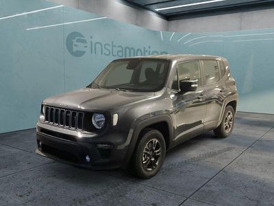 Gebraucht Jeep Renegade 131 PS (96 kW) 2024 Grau SUV