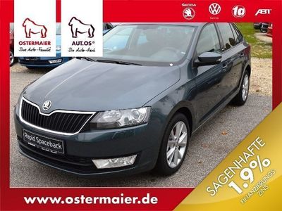 Gebraucht Skoda Rapid Joy 116 PS (85 kW) 2016 Grau metallic Kombi