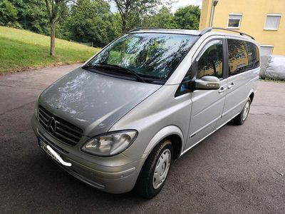 Mercedes Viano