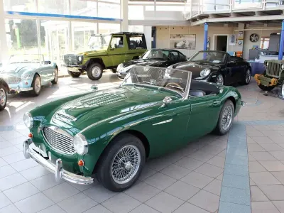 Gebraucht Austin Healey 100/6 117 PS (86 kW) 1958 Dunkel grün uni Cabrio