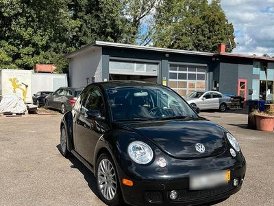 VW Beetle