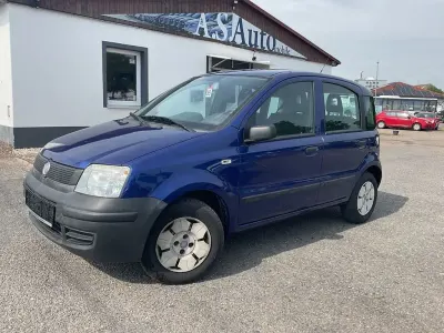 Gebraucht Fiat Panda Active 54 PS (39 kW) 2009 Blau Kleinwagen