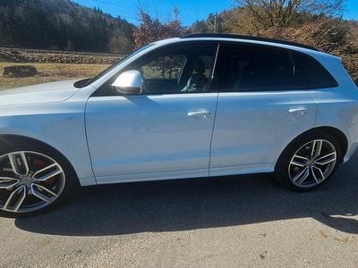 Gebraucht Audi SQ5 Design 311 PS (228 kW) 2015 Weiß SUV