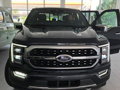 Usata Ford F-150 Platinum 401 CV (294 kW) 2021 Grigio Pick-up