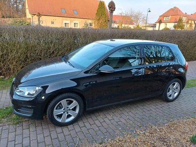 gebraucht VW Golf VII 